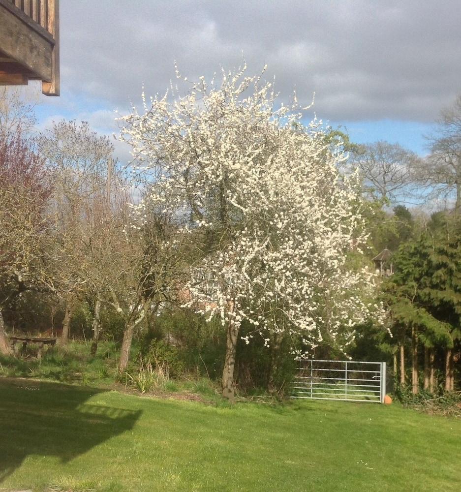 Shakespeare'S View Hotel Stratford-upon-Avon Exterior foto